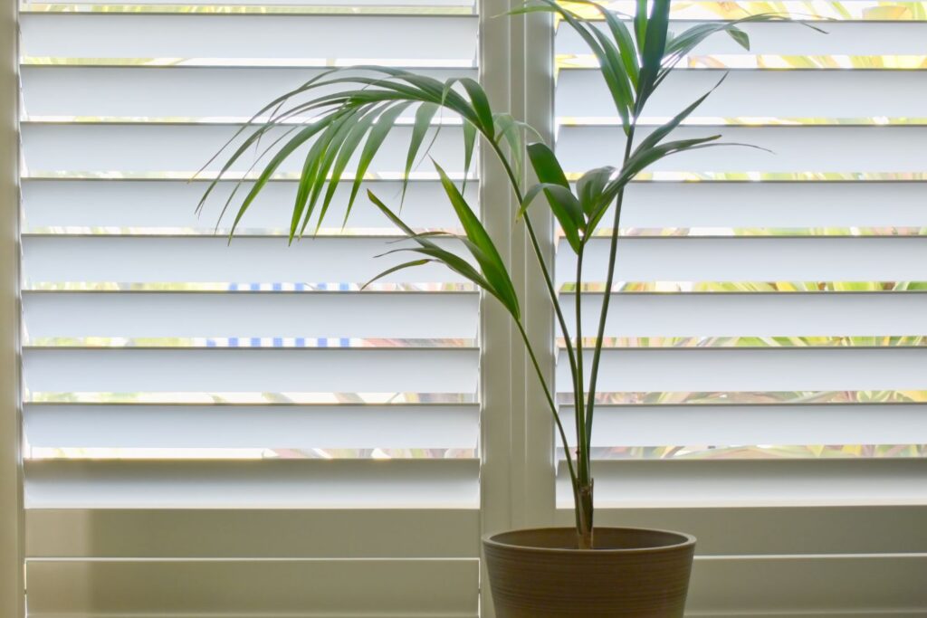 Blinds Lake Macquarie - Blinds Lake Macquarie Blinds Lake Macquarie - Blinds Lake Macquarie