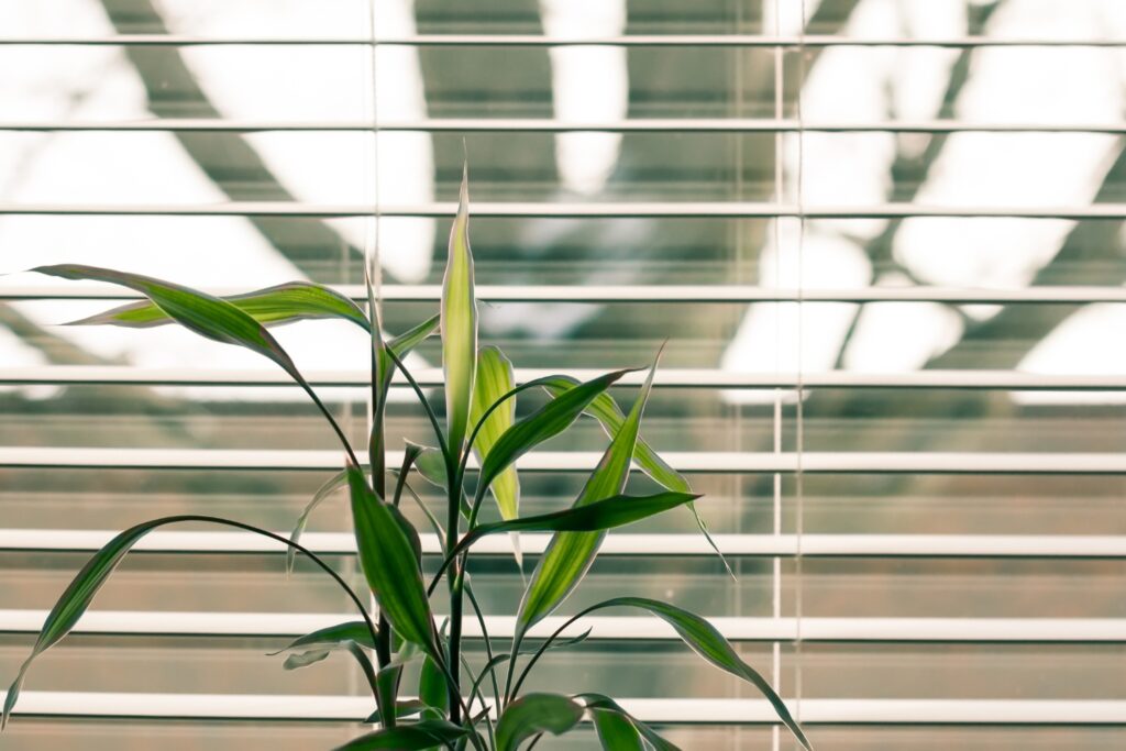 Blinds Lake Macquarie - Blinds Lake Macquarie Blinds Lake Macquarie - Blinds Lake Macquarie